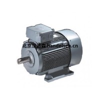 德國VEM電動(dòng)機(jī)IE3