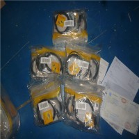 德國DELOCK轉換器62485