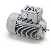 Minimotor-減速電機PAE 165M3供應