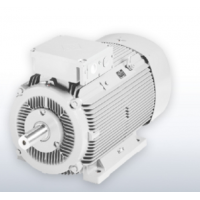 德國VEM滑環(huán)感應電動機S11R132 – 315型號簡介