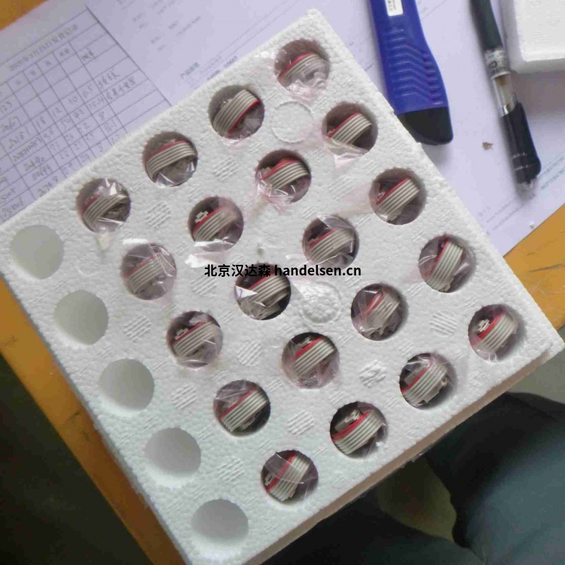 德國FAULHABER BXT SC系列無刷扁平直流微電機 20607 (1)