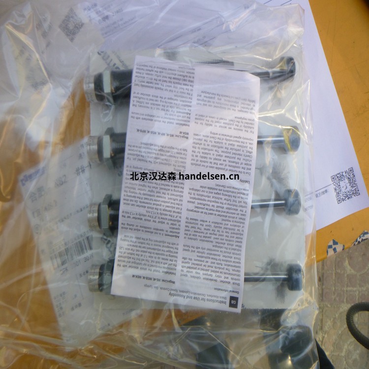 德國Weforma旋轉(zhuǎn)阻尼器wsk-m1.1-99用于食品行業(yè) 22805 (1)_副本