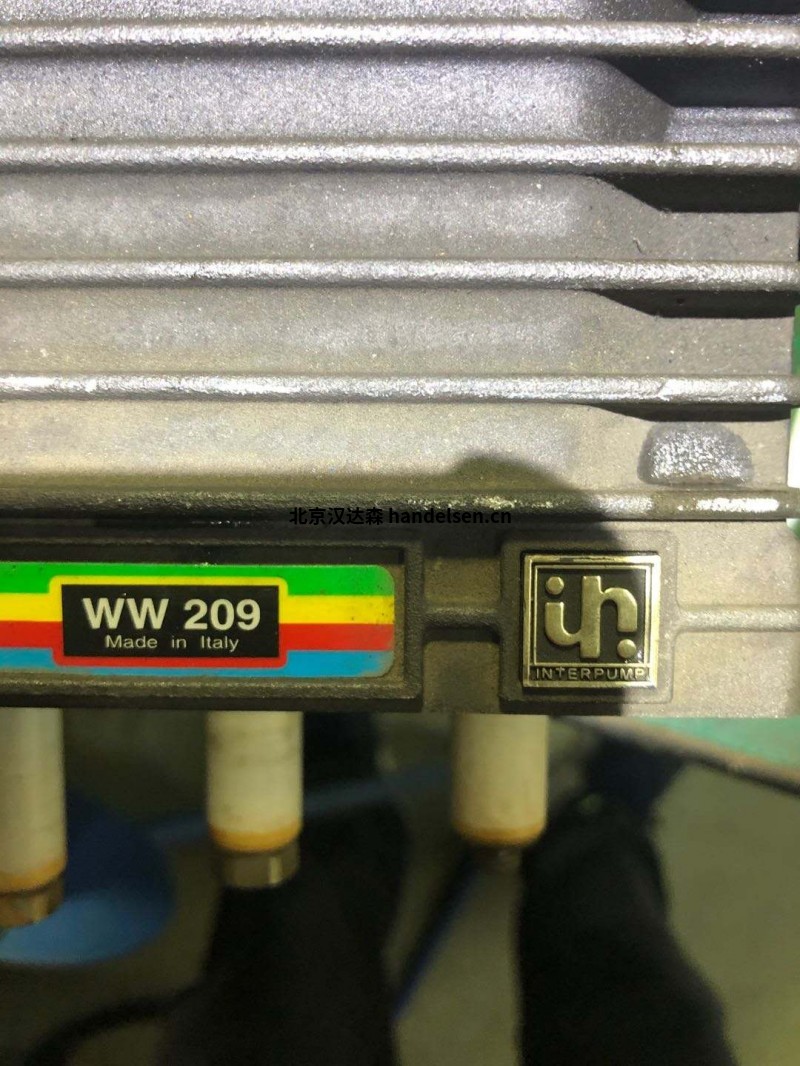 Interpump 德國進(jìn)口高壓泵系列W229系列