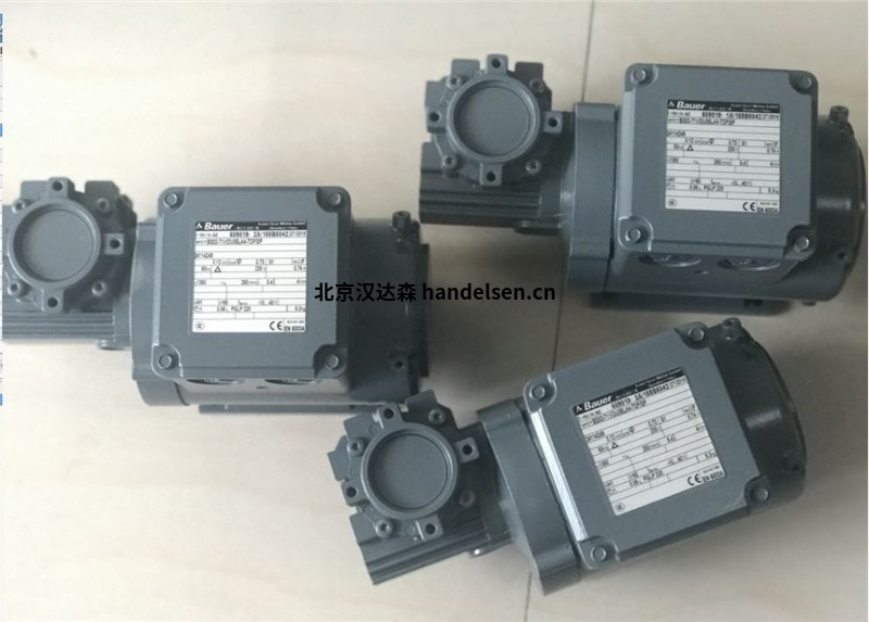 bauer 用于爆炸危險(xiǎn)區(qū)域的IE4-PM同步齒輪電動機(jī)