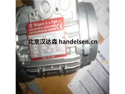 意大利 Melegari IEC 感應(yīng)電機(jī) 潛水電機(jī)優(yōu)勢供應(yīng)