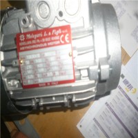 意大利 Melegari IEC 感應(yīng)電機(jī) 潛水電機(jī)優(yōu)勢(shì)供應(yīng)