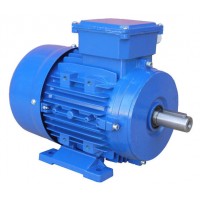 SMEM 標準三相異步電機4極產品介紹