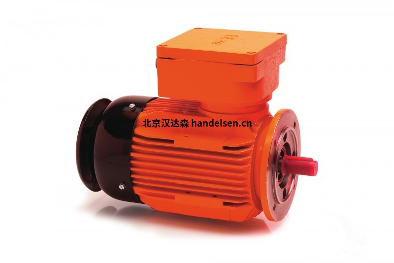 HEW 防爆電機(jī)R3G系列2極