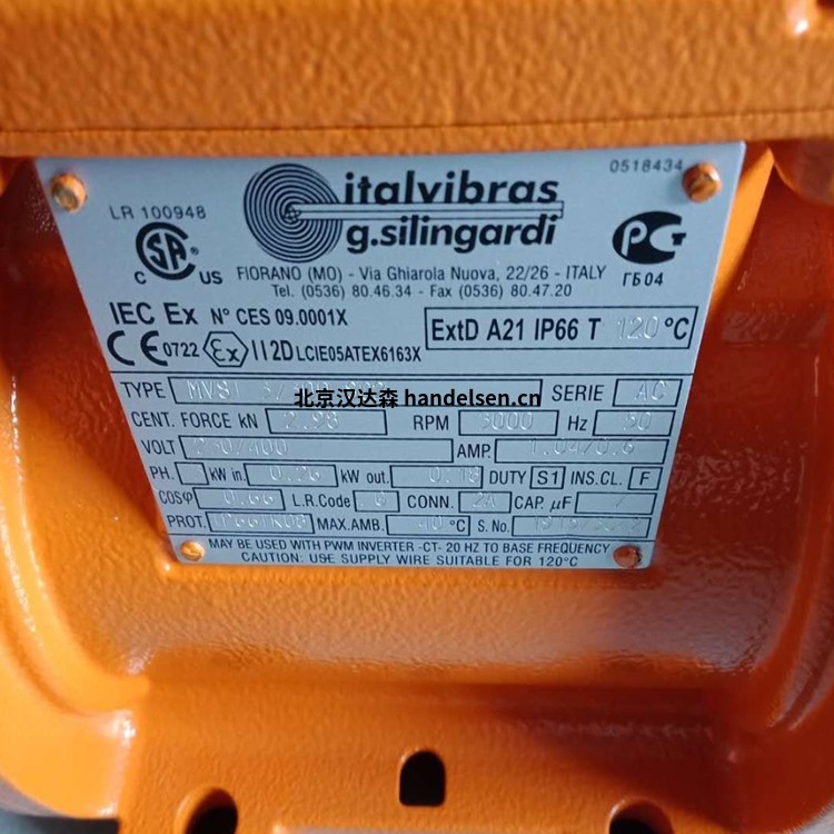 Italvibras G. Silingardi MVSI-TS帶分體罩的振動電動機 4_副本