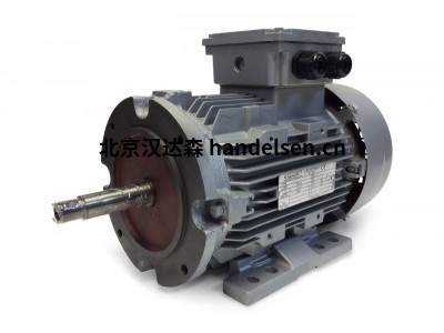 Electramo IE3效率三相電機(jī)HMS100L1-2