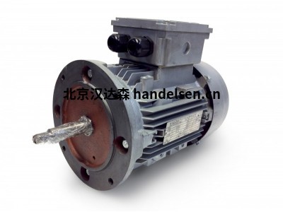 Electramo IE3效率三相電機(jī)HMS132S-6