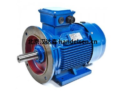 Amtecs鑄鐵電機(jī)AM1系列AM1-IE2-HO 250MX4