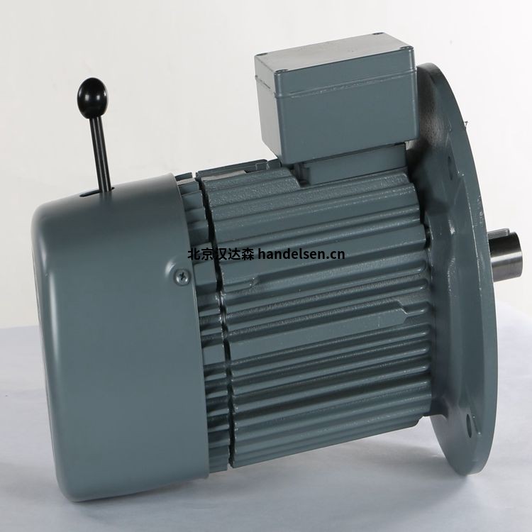  VEM永磁同步電機IE2-WE1R 132 S2T