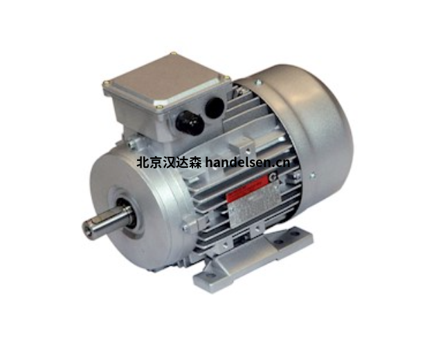 chiaravalli IE1鑄鐵電機(jī)CHT 315 LB 2 
