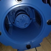 Pompetravaini液環(huán)真空泵TRH 32-20石化 、制藥 、食品領(lǐng)域