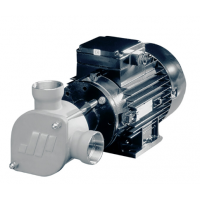 Johnson Pump 柔性葉輪泵-AC  特別適用于艙底、沖洗、消防、化糞池處理和水循環(huán)任務(wù)