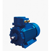 Marelli Motori 是電機(jī)和發(fā)電機(jī)的領(lǐng)先制造商，適用于多種工業(yè)領(lǐng)域