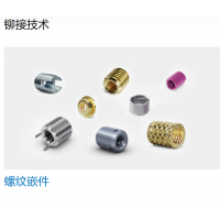 Bossard 提供多種不同類型的螺母，墊圈，螺釘，鉚釘?shù)染o固件