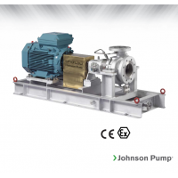 Johnson Pump 重型流程泵，適合化工/石化工業(yè)、煉油廠和一般工業(yè)應(yīng)用