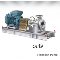 Johnson Pump 重型流程泵，適合化工、煉油廠和一般工業(yè)應(yīng)用