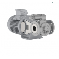 Johnson Pump 內(nèi)嚙合齒輪泵，適用于中等粘度、清潔和非磨蝕性液體