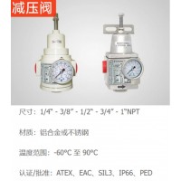 Sitecna 減壓閥，為廣泛的應(yīng)用提供了極好的調(diào)節(jié)，堅(jiān)固和腐蝕