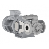 Johnson Pump 內(nèi)嚙合齒輪泵，適用于中等粘度、清潔和非磨蝕性液體