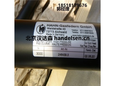 德國Hahn Gasfedern不銹鋼拉伸彈簧G08-19ST-28995國內(nèi)現(xiàn)貨