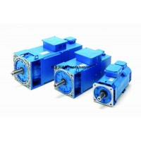 意大利 OEMER 永磁同步電機 QS 系列：永磁驅(qū)動，智啟高效節(jié)能新未來