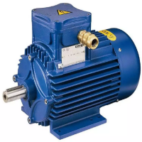 Cemp防爆電機(jī) ATL 220 2 3F 230D：堅(jiān)固守護(hù)危險區(qū)域的動力核心